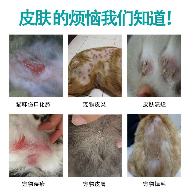 恩诺沙星溶液喷剂猫真菌皮炎猫藓狗藓猫咪湿疹细菌皮肤病外用药