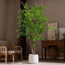 ����Gֲ���X���҃ȴ����b[����䁙������X��������Է���ֲ��