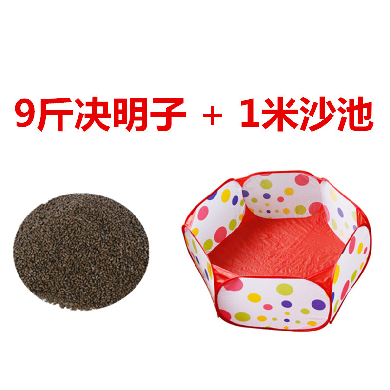 Wild Cassia Sand Wholesale Juguetes de interior para niños Juego de piscina de arena Patio de juegos Puesto Cassia Sand Beauty Journey