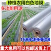 Factory wholesale Plastic sheeting plant peanut Vegetables transparent Film heat preservation Moisture Agricultural 1 Beige Film