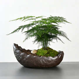 禅意仿石陶瓷花盆厂家批发 真柏盆景造景专用带底座花盆