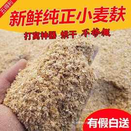 小麦麸皮喂鸡饲料钓鱼新鲜麦麸麦夫子麦敷子皮小麦皮麸子5斤80斤