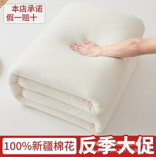 Class a Xinjiang Cotton Quilt Core Cotton Quilt Cotton Batting Mattress Pure Cotton Student Quilt Warm Bedding Four-Season Style