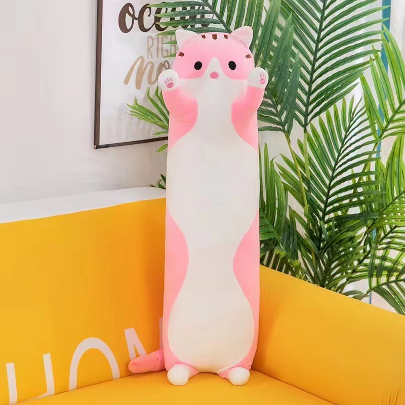 クロスボーダーの長い猫が枕を抱いて女の子が寝ています。