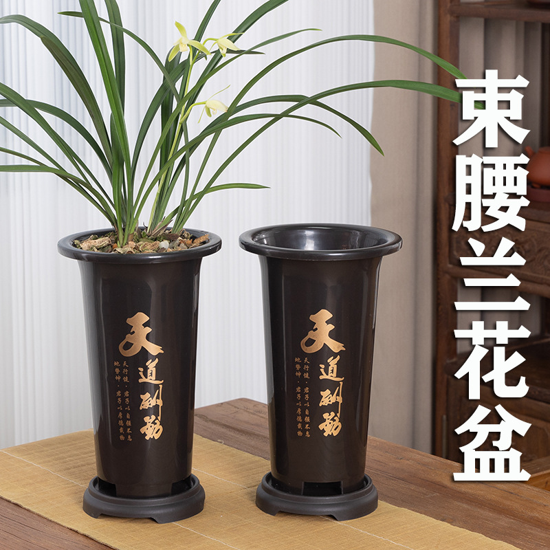 兰花专用盆塑料兰花盆批发特价清仓君子兰仿紫砂花盆加高档兰草盆