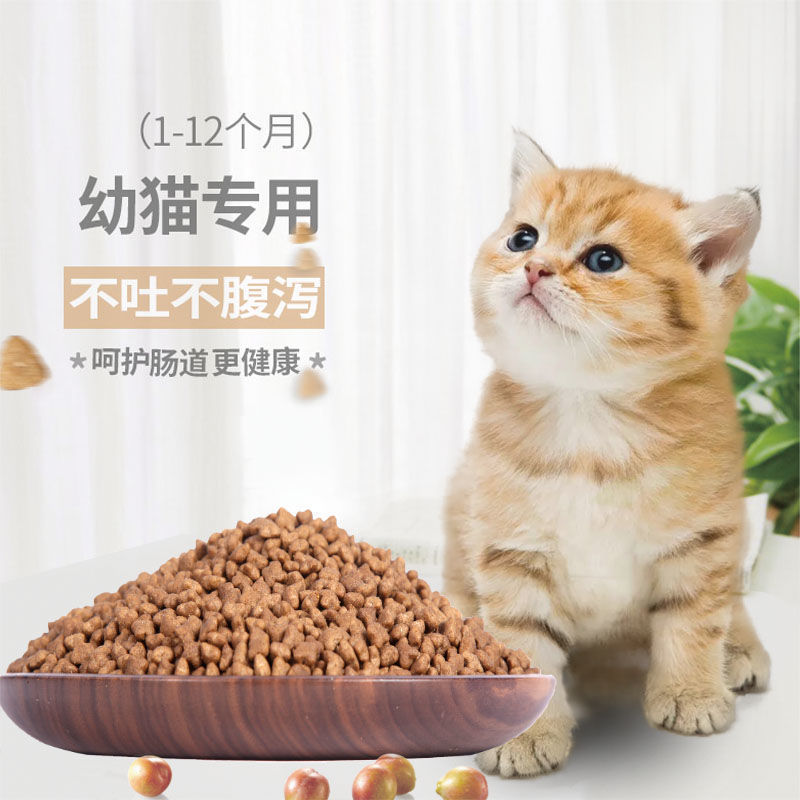 Kitten Food 1-12 Months Fish Flavor Beef Flavor Main Weaning Period Kitten Food Aliexpress
