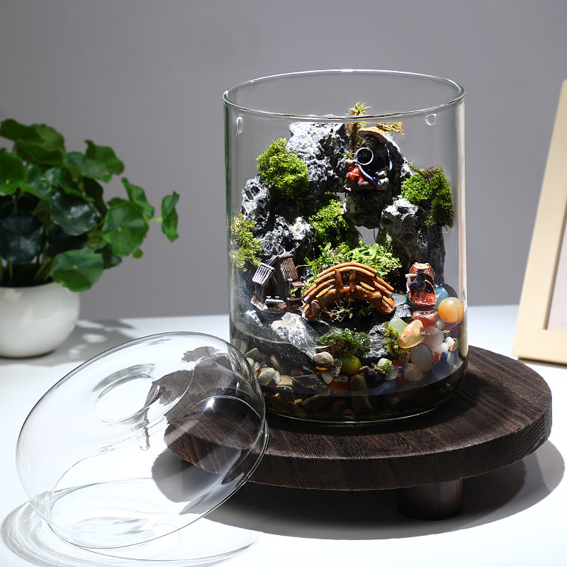 Fabricantes coleccionan vidrio de escritorio hecho a mano micro paisaje taza de exposición botella ornamental botella de luz transparente acuario ecológico