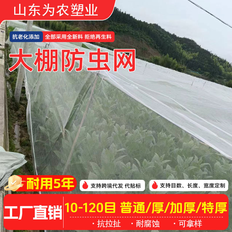 大棚蔬菜防虫网种菜养猪场防蚊网透气抗老化聚乙烯全新料防虫网