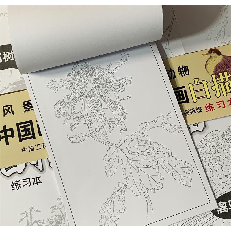 中国画白描描摹本工笔画底稿临摹画册初学者入门套装美术绘画代发