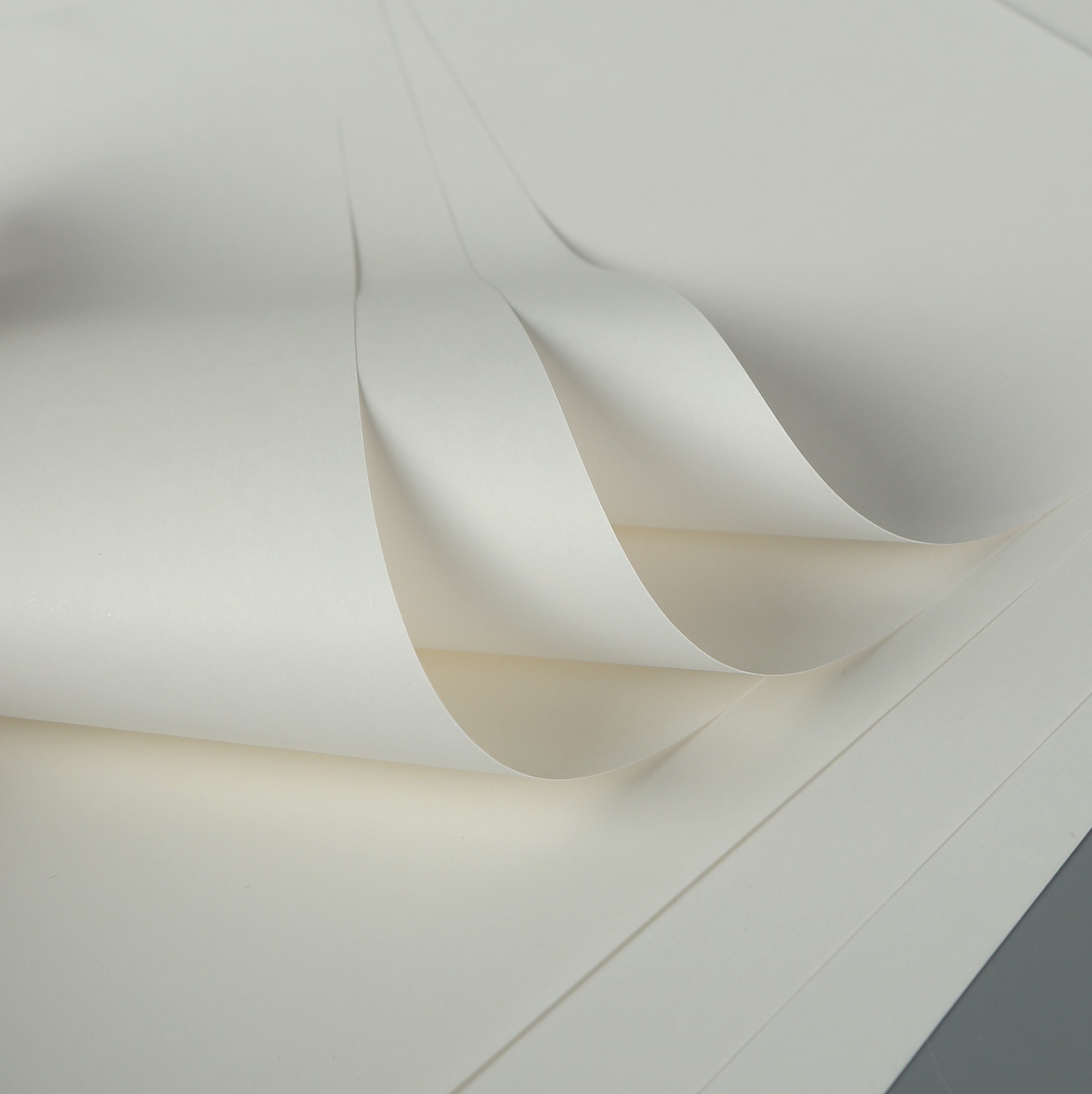 3N8A5907_edit_129028444777074.