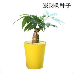 ɢ�b�lؔ��N�� �҃����� ���|�����С�� �Z���X �����N�������l