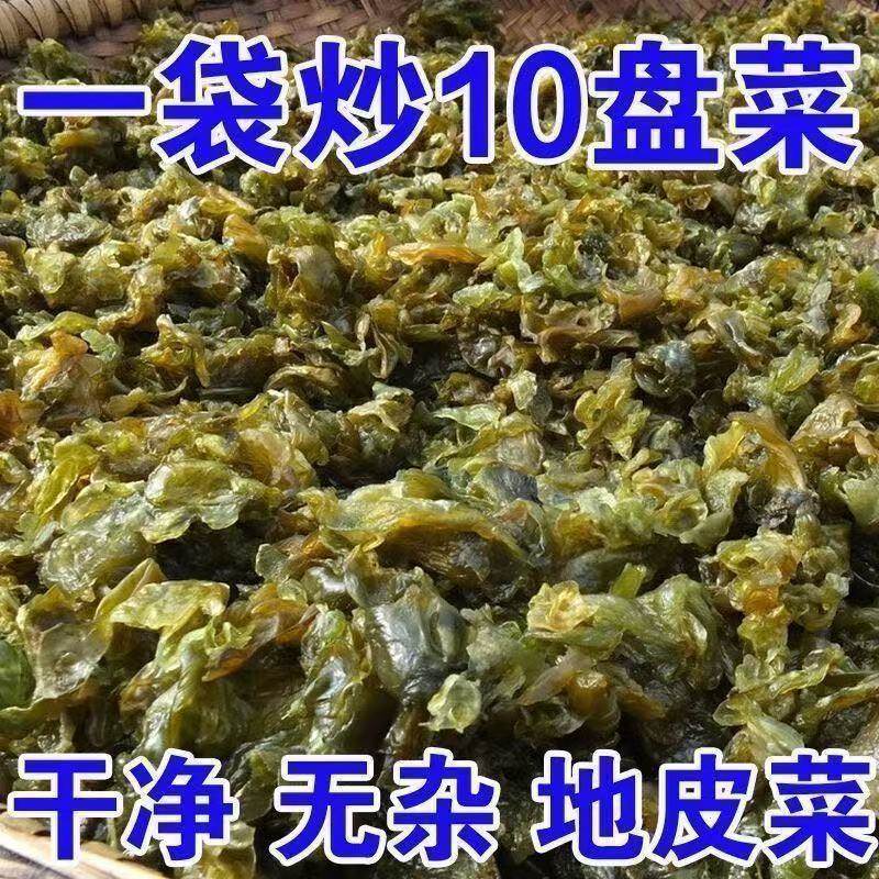地皮菜甘肃野菜干货地软地达菜地衣雷公菌地耳新货地皮菜野生