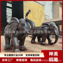 2�����S�~���� �S�Ҵ����~�������� ��ؔ�N���~����ˇƷ�[��