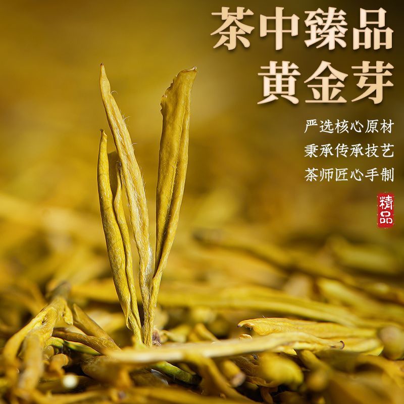 恋凝香黄金芽明前头采茶叶绿茶春茶浓香耐泡型品质新茶叶袋装50g|undefined