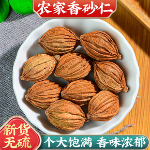 �ٷ���Ş����ɰ�ʴ�ɰ�����ϴ�ɰ�ʸ�؛�u���ɰ�ʟ����������{ζ