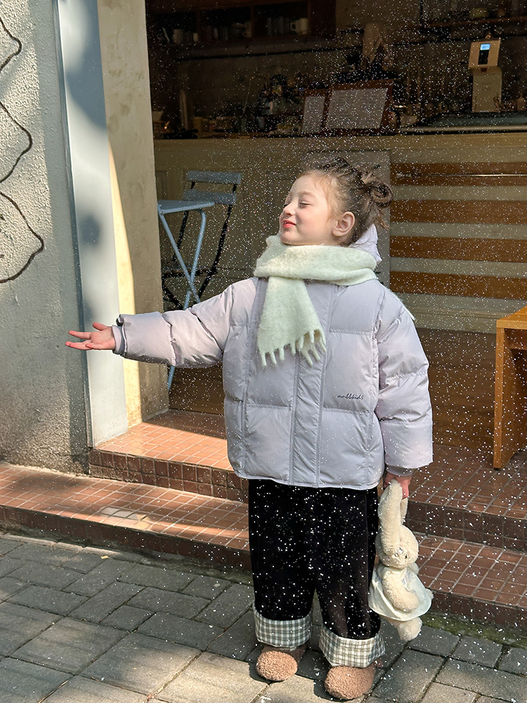 2024-11-03 123846.jpg