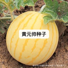 �SԪ�����ϷN���SƤ�����������ϷN���Ϸ�ˮ�������ļ��߲˷N����