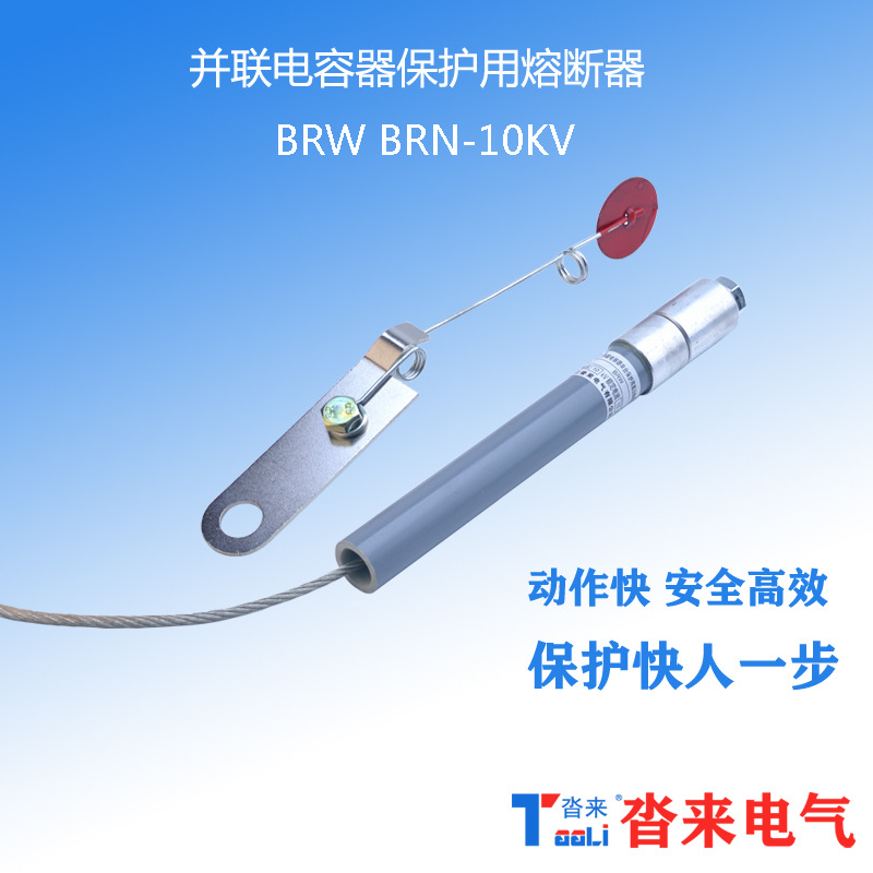 熔断器BRNBRW-10KV5-10-20-30ABR1并联电容器保护用保险丝喷射式