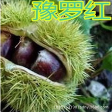 �޽Ӵ�t�۰������������������������������ϱ����Nֲ����Y��