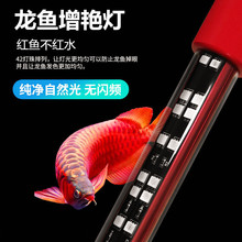 水族鱼缸潜水灯水陆两用观赏鱼造景LED鹦鹉锦鲤龙鱼红龙增艳