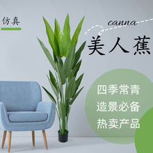 �Wʽ�҃ȷ����Gֲ���˽����� �̈��T������b������B��������l