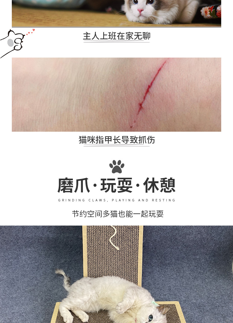 猫抓板00_04.jpg