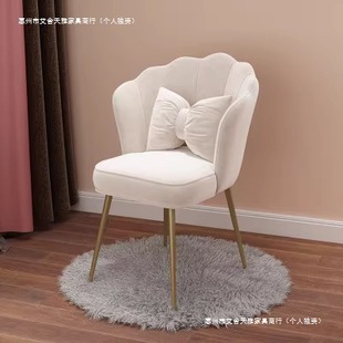 Modern Simple Internet Celebrity Book Chair Leisure Home Chair Nordic Light Luxury Dining Chair Restaurant Hotel Back Chair Makeup Chair