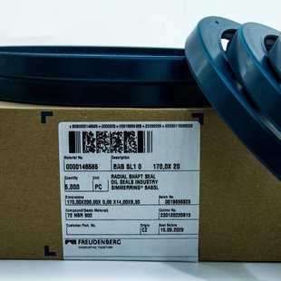 Cfw Simrit Dirk Mike German Sew Special Oil Seal Siemens Motor Seal