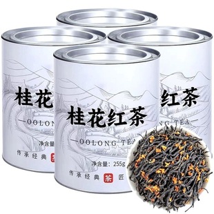 �Žѹ𻨼t�� �����خa2024�²� С�N�t����~������