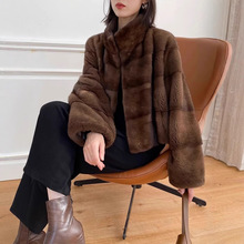 ¿MZqƤŮprж̿MˮëƤ