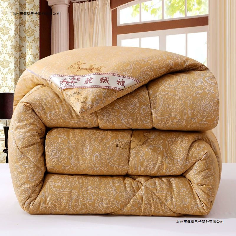 Winter keep warm duvet, mattress for elementary school students, increased thickness