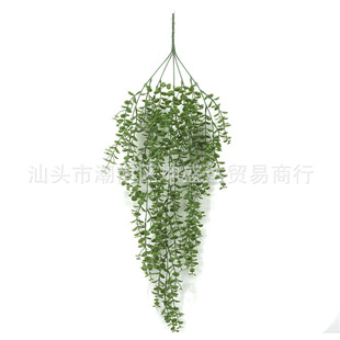 ����ֲ��5�^�������� �ҾӾGɫ�����b���ڒ��S�����l�ٗl