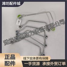 ���������͹�331005001123�H��Baudouin���Ű���Ʒ���