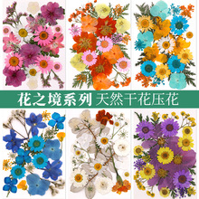 新品押花滴胶手工DIY材料包化妆造型个人写真贴脸妆天然真花押花