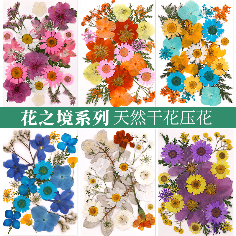 新品押花滴胶手工DIY材料包化妆造型个人写真贴脸妆天然真花押花