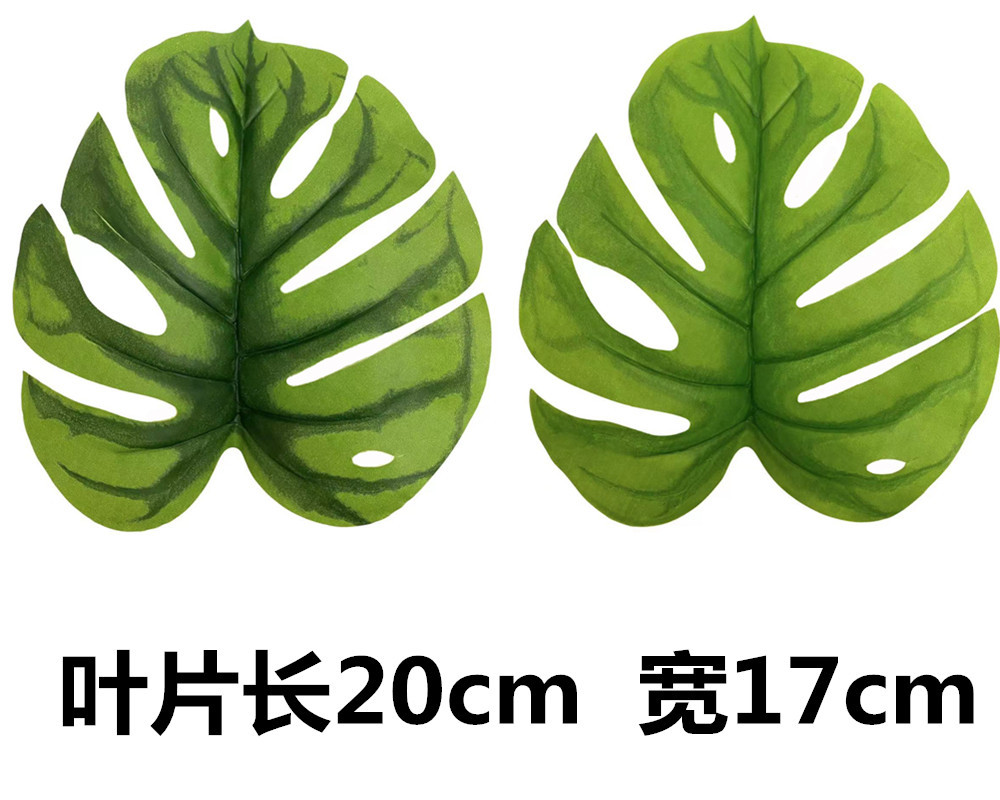 未命名_副本