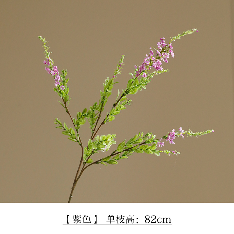 보라