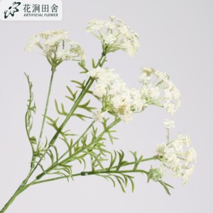 5�^�˻����滨 �ٽz����c���滨���ļٻ�ѩ�׻������������ٻ�