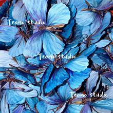 仿真花大号蝴蝶鞋花帽花diy发夹材料装饰小红书爆款3d立体蝴蝶花