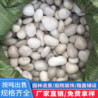 南京雨花石白色鹅卵石抛光公园水池广场施工布景园林铺路庭院石头|ru