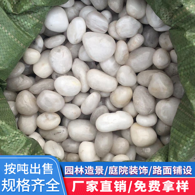 南京雨花石白色鹅卵石抛光公园水池广场施工布景园林铺路庭院石头|ru