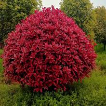 ·���e���t�~ʯ����δ�С������S��Ůؑ�����ļ�����t����ͥԺ