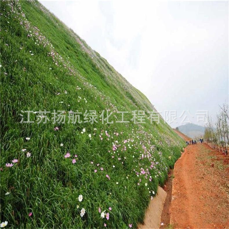 O1CN01HBuh7j27LI8hiXtYW_!!2212