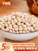 5㶹 rԷN㶹㶹ɰlѿؑcСsZ