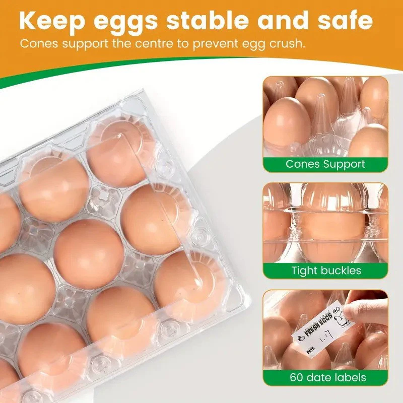2025 Горячие продажи на Amazon: многоразовые прозрачные пластиковые контейнеры для яиц, оптом, многоразовые контейнеры для яиц