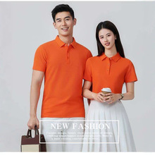 GU�S��ֱ�N2026�¿�IPOLO������T���� �_��