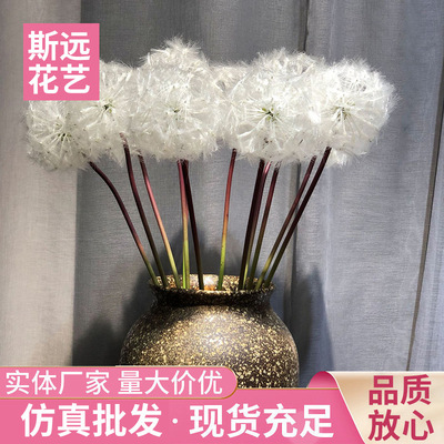 廠家批發仿真白色蒲公英唯美布景 北歐簡約仿真蒲公英家居裝飾