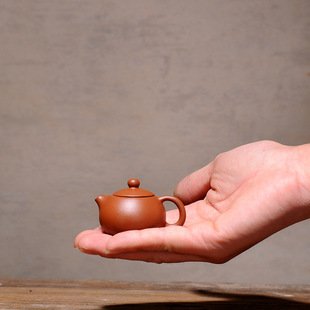 Mini Purple Clay Teapot for Fingertip Tea, Tea Pet Pot, Small Xishi Kung Fu Tea Set Ornament