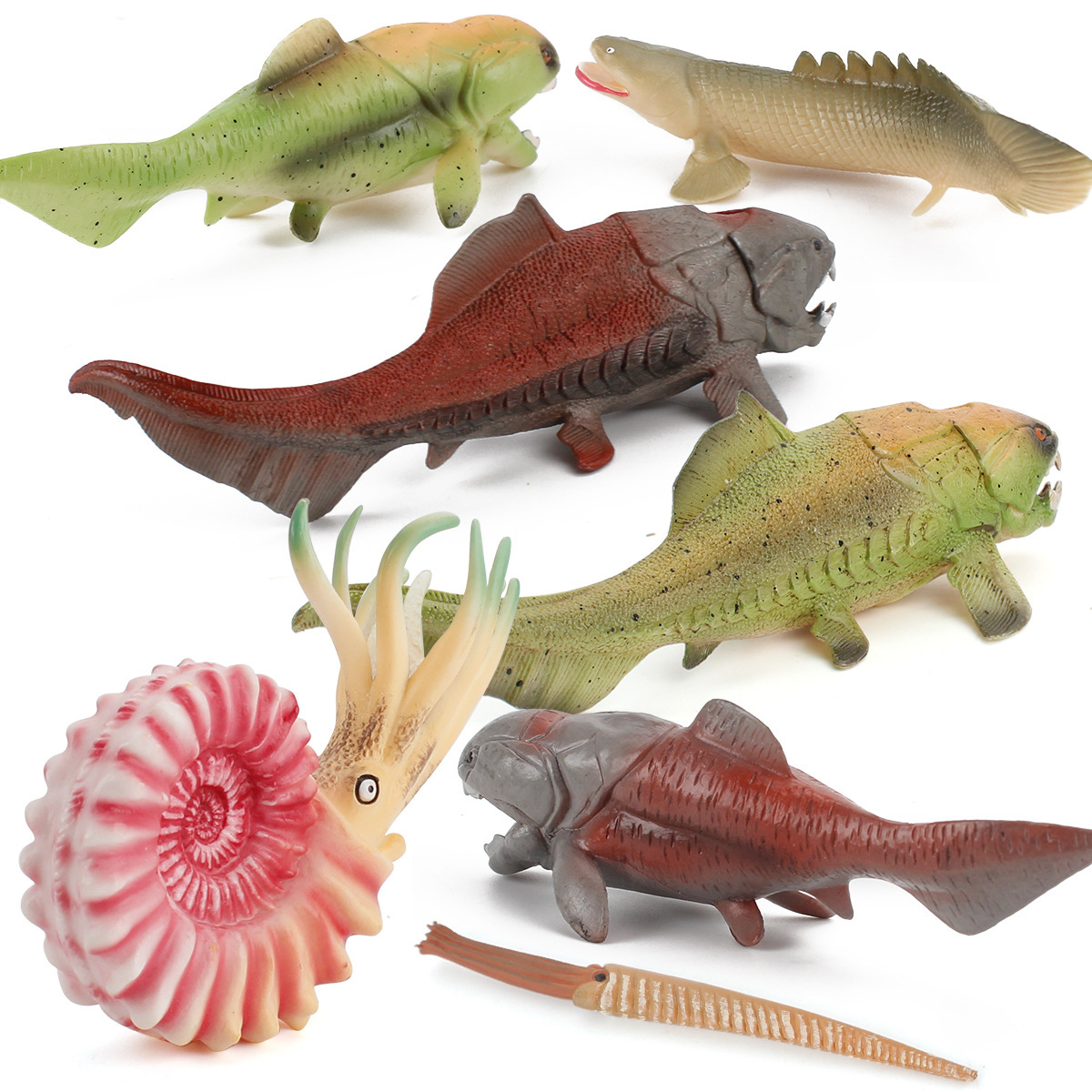 Simulación océano antiguo modelo biológico pescado de Deng loro tornillo crisantemo piedra decoración juguete transfronterizo Amazon