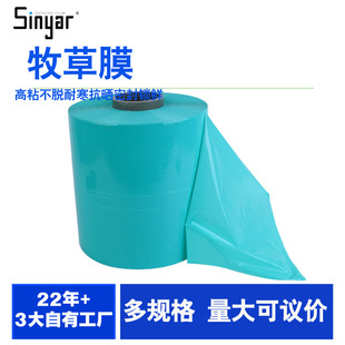���A�������Ĥ�ն�����Ĥ50cm���Ĥ��Ĥ���AĤ����Ĥ���Ϲ���Ĥ